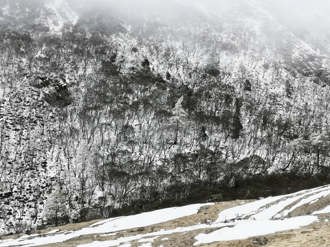 冬天雪景