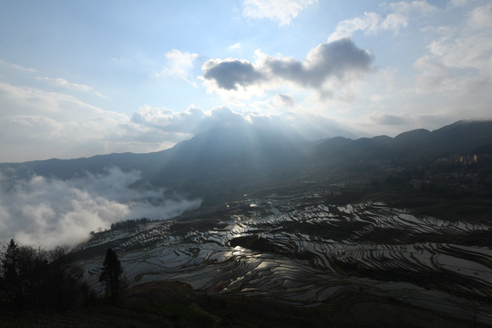 元阳梯田