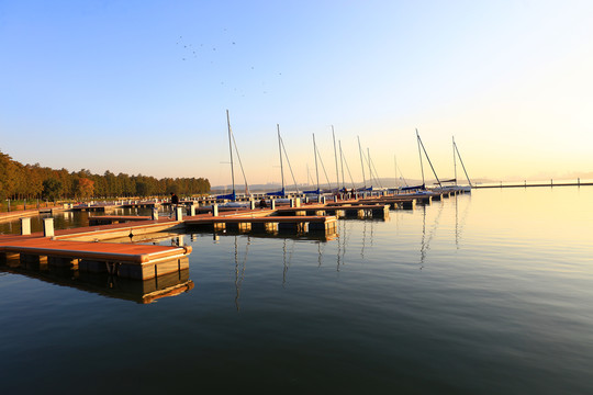 东湖帆船基地