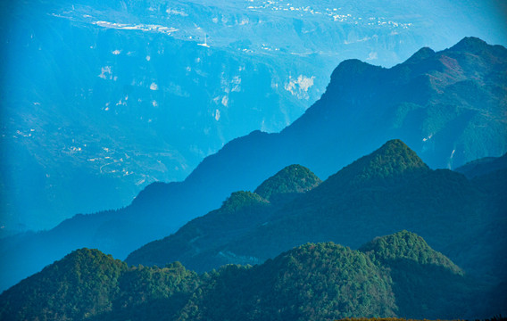 山野树林