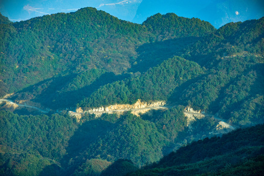 山野树林