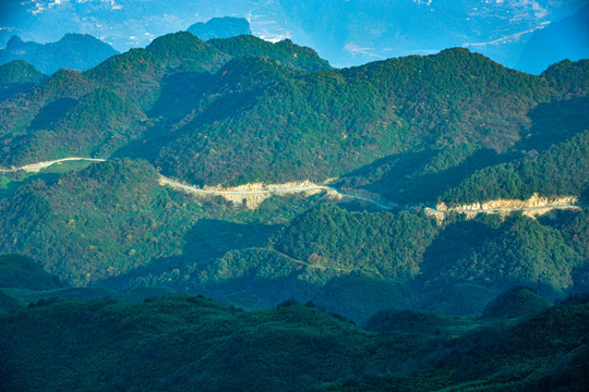 山野树林