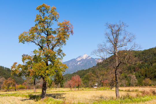 罗田笔架山