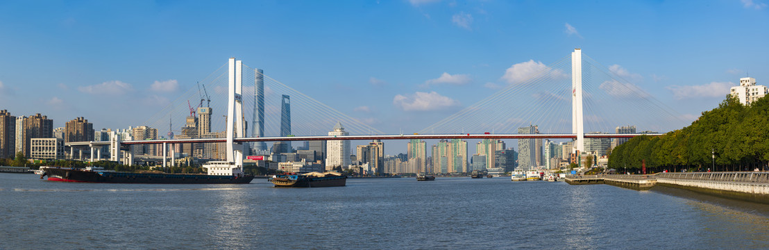 上海南浦大桥全景