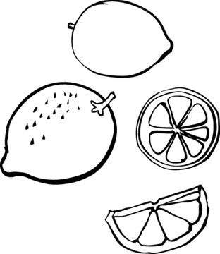 柠檬矢量简笔绘图