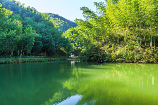 安徽黟县木坑竹海景区