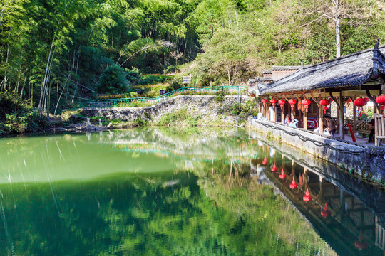 木坑竹海