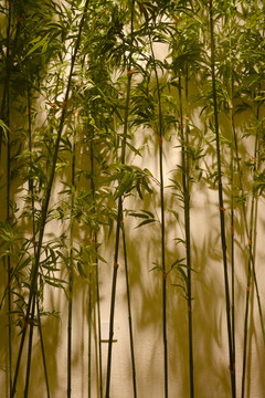 竹子装饰景观