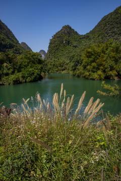 青山绿水河流风景