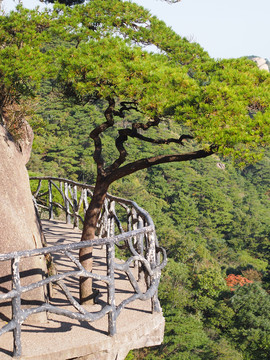 上饶三清山国家级旅游风景区