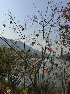 公园美景