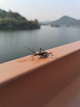 公园风景区