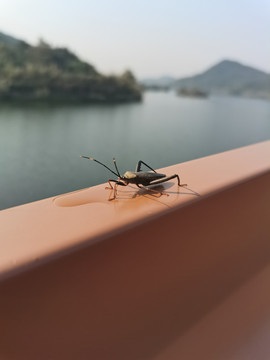 公园风景区