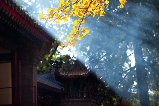 北京红螺寺的秋色