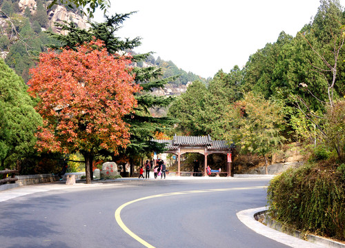 泰山盘山路