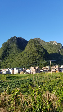 田园风光