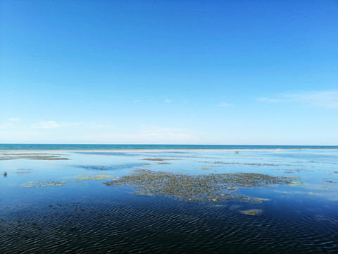 青海湖