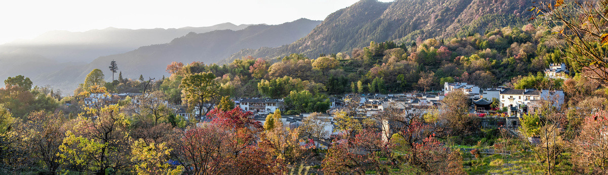 美丽的塔川秋色全景宽幅大图