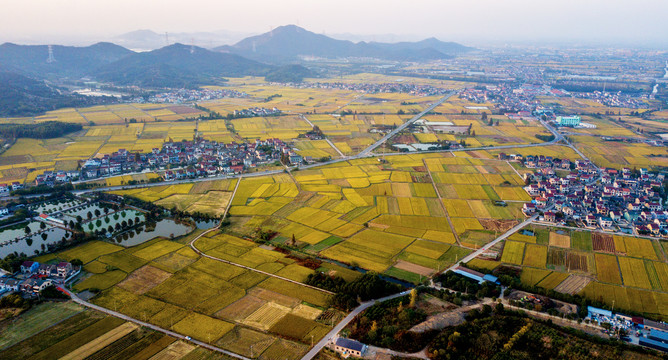 秋天的田野