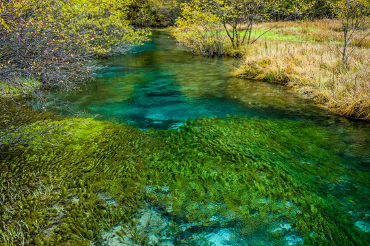 九寨沟风光