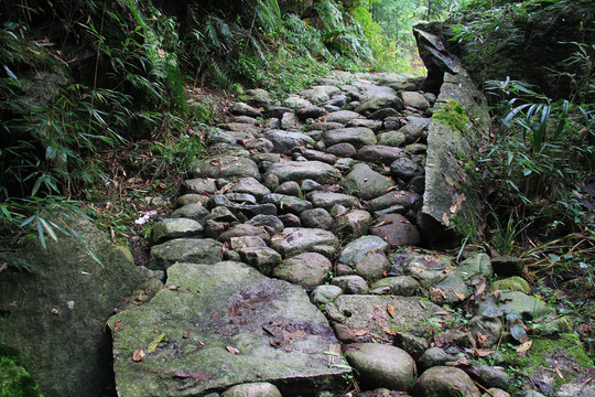 茶马古道卵石路