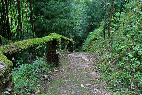 山林小路