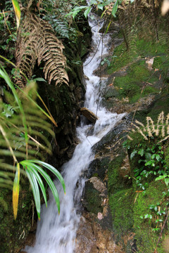 小溪流
