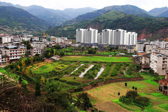 荥经县城一角城中湿地