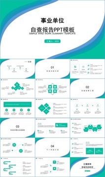 商务简约事业单位自查报告PPT