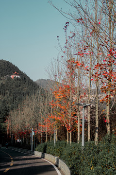 兴义市贵州醇景区