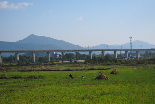 田园高铁