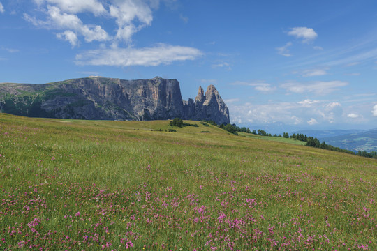 意大利多洛米蒂苏西高原自然风光