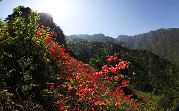 高山