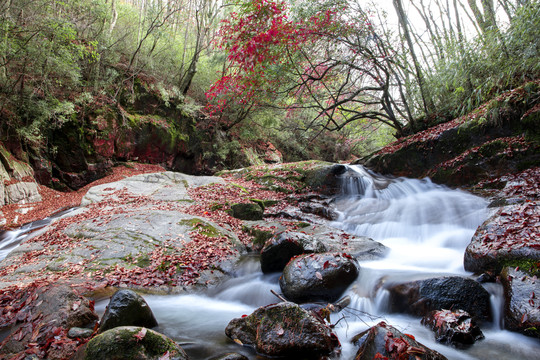 光雾山风光