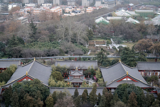 大慈恩寺