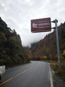 秋日的山路