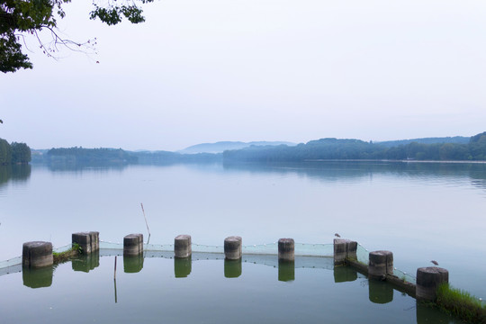 东湖废桥墩