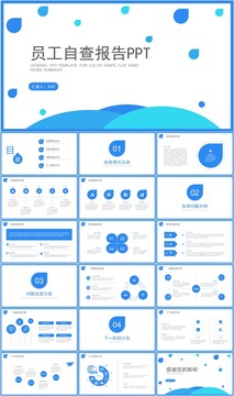 企业员工自查报告PPT模板