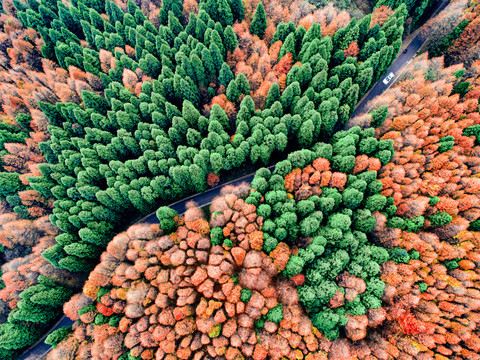 航拍山王坪风光