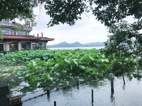 杭州西湖