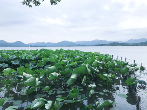 杭州西湖