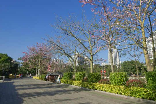 晋安河河岸步道