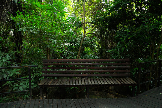 森林公园长条木座椅