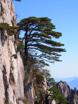 安徽黄山风景区