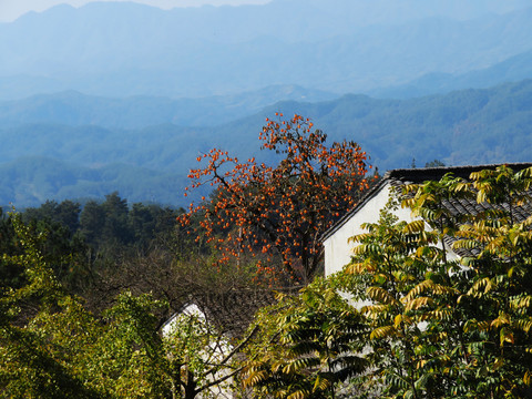 歙县姬公尖山村风光