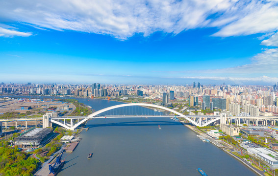 上海黄浦江卢浦大桥城市风光