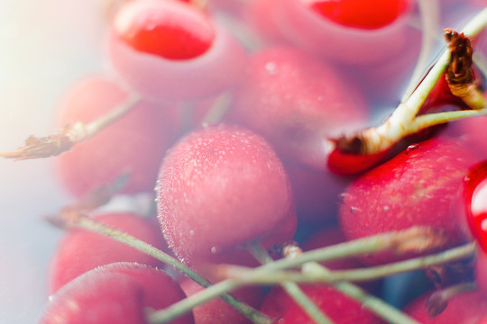 浸泡在水里的樱桃健康水果图片