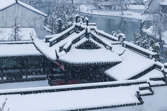 西溪雪韵