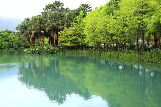 花莲湖景