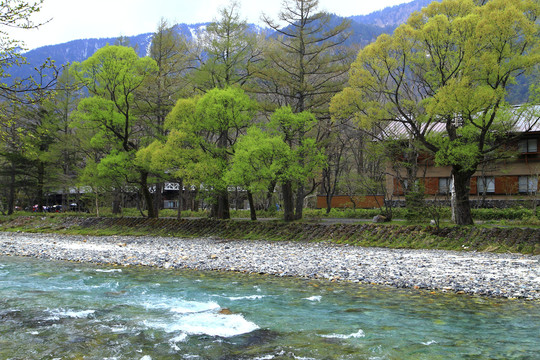 日本旅行摄影